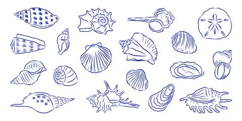 Seashell set. Hand drawn blue line art mediterranean doodle style. La Dolce.. Illustrazione stock