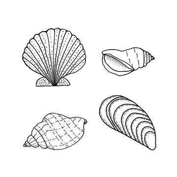 Seashell set. Nature ocean aquatic underwater seashells. Hand drawn vector. Stock Illustration
