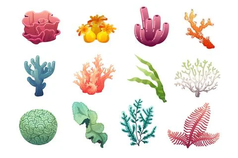 Seashell set. Shellfish ocean underwater conch snail. Coral reef decorative Stock Illustration