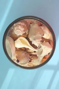 Seashell with shade on the blue background. Creative colorful minimalism. 스톡 사진