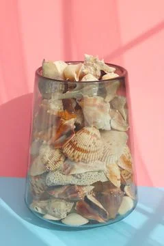 Seashell with shade on the blue background. Creative colorful minimalism. Foto stock