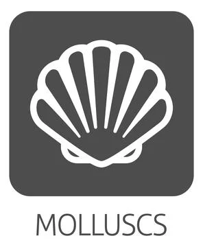 Seashell Shell Clam Mollusc Seafood Food Icon 스톡 일러스트