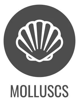 Seashell Shell Clam Mollusc Seafood Food Icon 스톡 일러스트