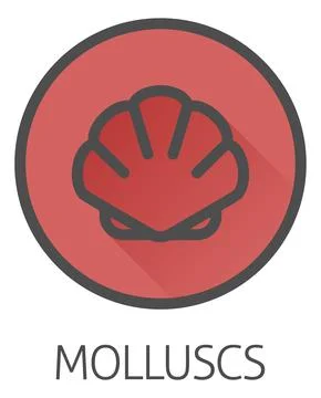 Seashell Shell Clam Mollusc Seafood Food Icon 스톡 일러스트