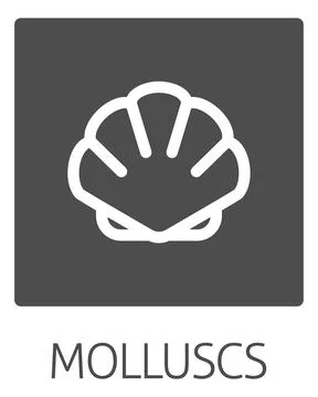 Seashell Shell Clam Mollusc Seafood Food Icon 스톡 일러스트