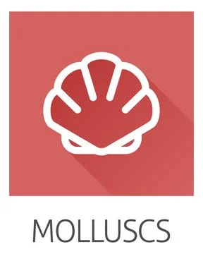 Seashell Shell Clam Mollusc Seafood Food Icon 스톡 일러스트
