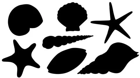 Seashell silhouettes vector set. Illustration of sea Shells on isolated Stock Illustration