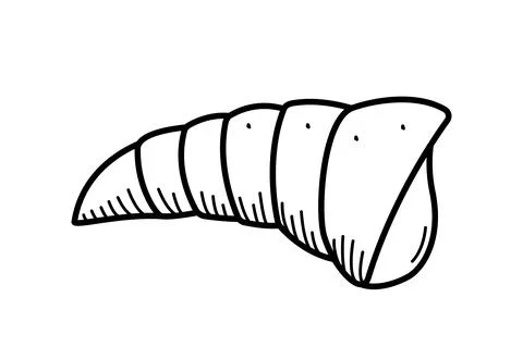 Seashell, single isolate on a white background. Vector illustration of a shel Illustrazione stock