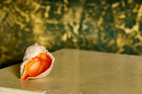 A seashell sits on a flat surface, showing its inside with vibrant colors. Th Stock Photos