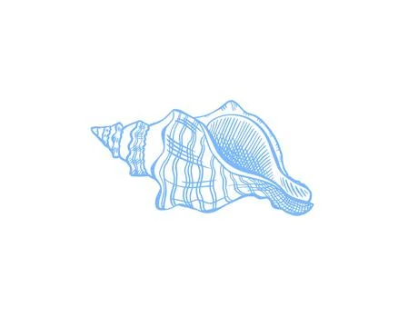 Seashell sketch drawing vector illustration Illustrazione stock