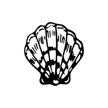 Seashell sketch. Summer beach vacation. Hand drawn vector line art illustra.. Stock Illustration