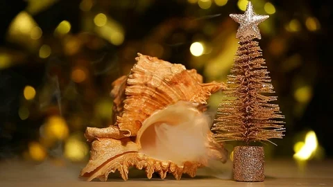 Seashell smoke fir tree table gold bokeh hd footage Stock Footage 120347600