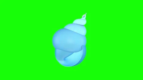 A seashell spins on a green screen. 3D animation. Stock Footage 252088349