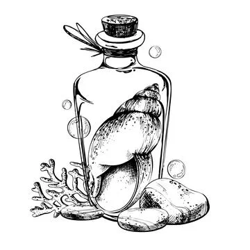 Seashell spiral corals inside glass bottle jar with cork sea pebbles and water Illustration