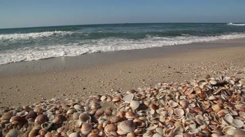Seashell Stack with sea waves Pan 01 Stockbeeldmateriaal 46515057