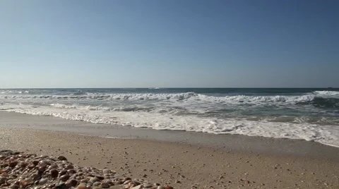 Seashell Stack with sea waves Pan 05 Stockbeeldmateriaal 46520996