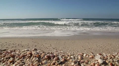 Seashell Stack with sea waves Pan 04 Stockbeeldmateriaal 46522680