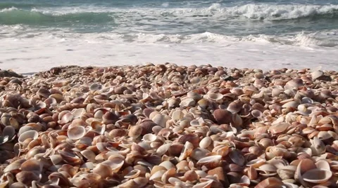 Seashell Stack with sea waves Pan 02 Stock Footage