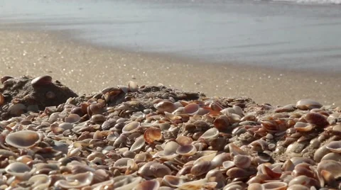 Seashell Stack with sea waves Pan 07 Stockbeeldmateriaal 46565456