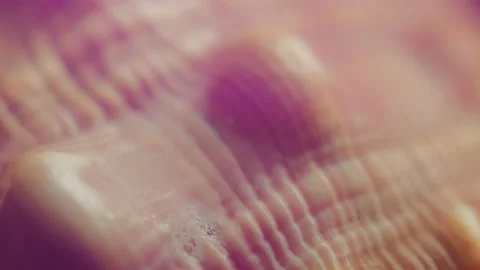 Seashell surface abstract Stock Footage 195286445
