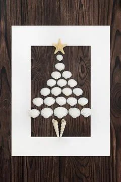 Seashell Surreal Tree Shape Background Border Frame Stock Photos