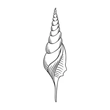 Seashell thin line icon, animal and underwater, shell sign vector graphics, a Illustrazione stock