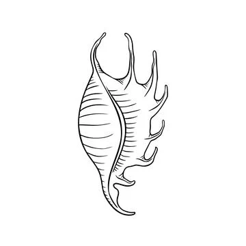 Seashell thin line icon, animal and underwater, shell sign vector graphics, a Illustrazione stock