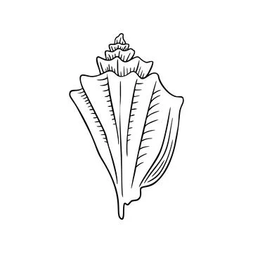 Seashell thin line icon, animal and underwater, shell sign vector graphics, a Illustrazione stock