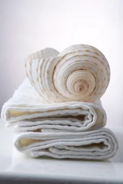 Seashell on the towel 스톡 사진