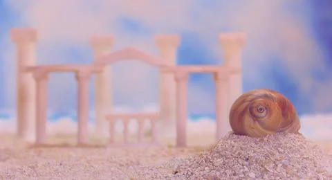 Seashell on Tropical Beach Stock Photos