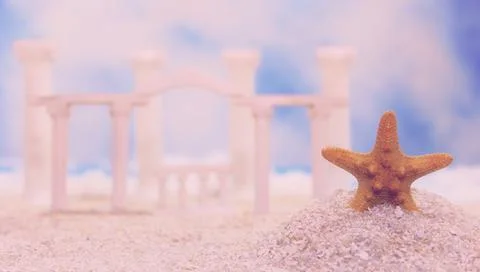Seashell on Tropical Beach Stock Photos