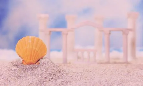 Seashell on Tropical Beach Stock Photos