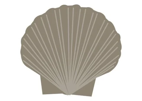 Seashell vector cartoon line art illustration. Stock Illustration