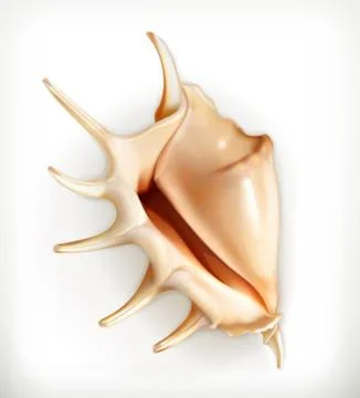 Seashell, vector icon Illustrazione stock