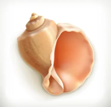 Seashell, vector icon Illustrazione stock