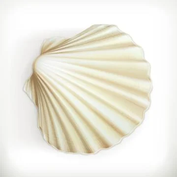 Seashell, vector icon Stock Illustration