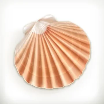 Seashell, vector icon Stock Illustration