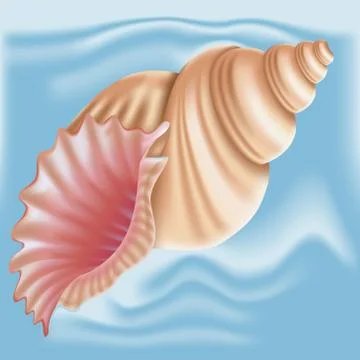 Seashell. Vector. Stock-Illustration
