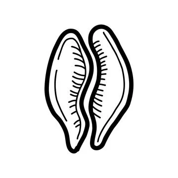 Seashell. vector illustration in doodle style Illustrazione stock