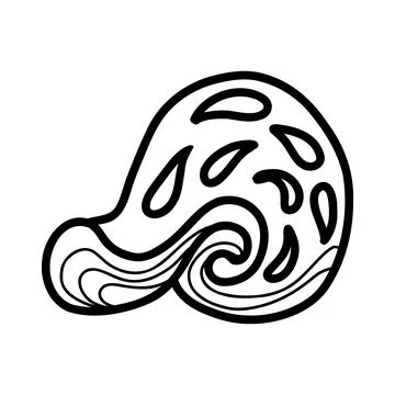 Seashell. vector illustration in doodle style Stock Illustration