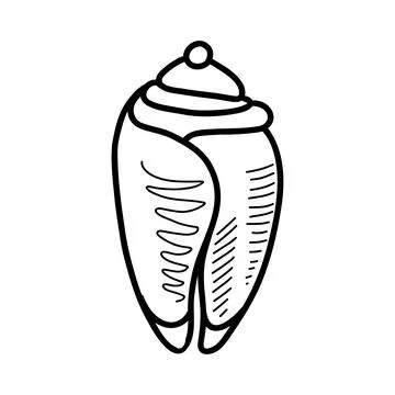 Seashell. vector illustration in doodle style Illustrazione stock