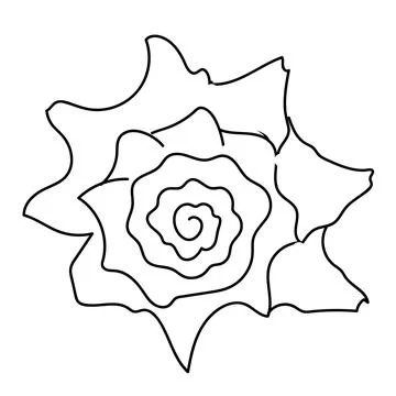 Seashell vector illustration isolated on white background Illustrazione stock