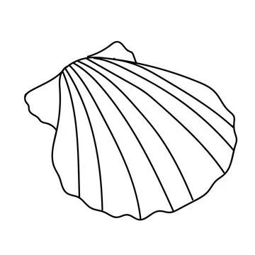 Seashell vector illustration isolated on white background Stock Illustration
