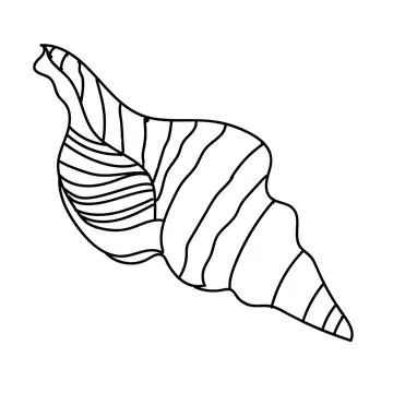 Seashell vector illustration isolated on white background Stock Illustration