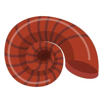 Seashell. vector illustration isolated on a white background Illustrazione stock