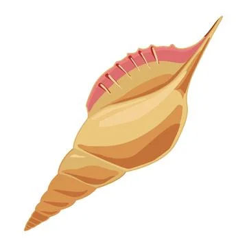 Seashell vector illustration logo icon clipart vector, wedding, beach, 스톡 일러스트
