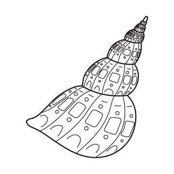 Seashell Vector illustration. Outline black sketch of spiral sea shell. Line art Stock Illustration