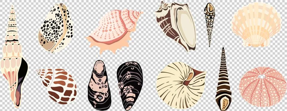Seashell vector set, hand drawn marine shells collection in pastel colors Ilustración de archivo