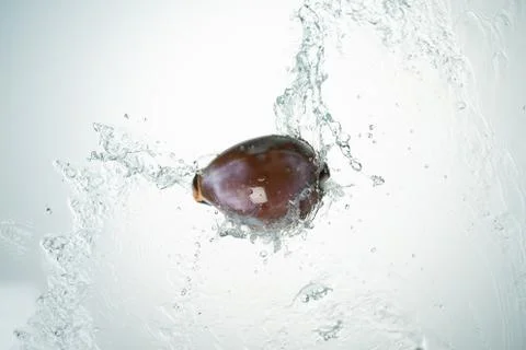 Seashell water splash Stock Photos
