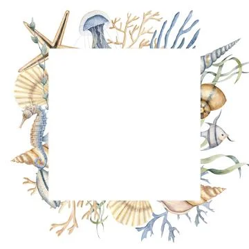 Seashell watercolor square Frame on white isolated background. Hand drawn Stock Illustration